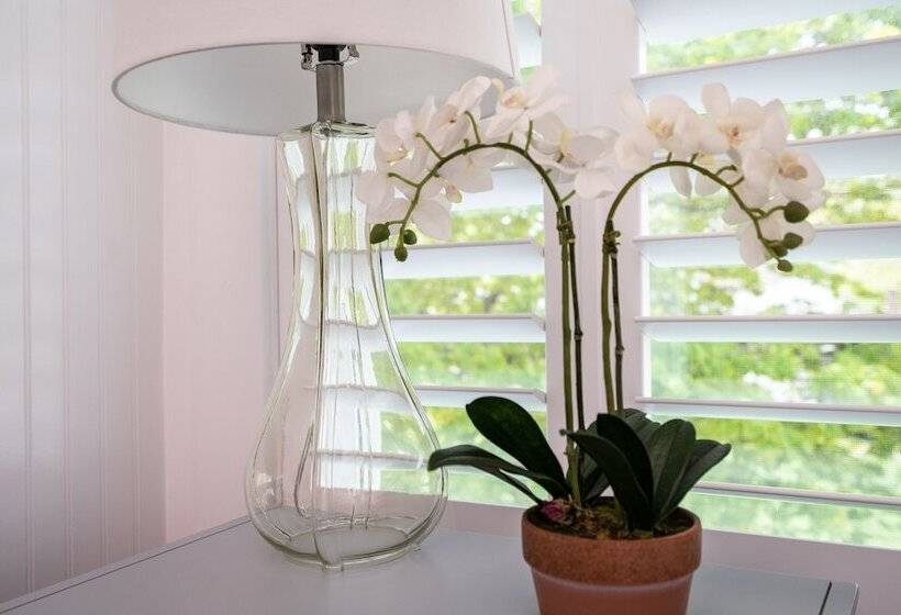 스탠다드 스튜디오, Marginal Way House