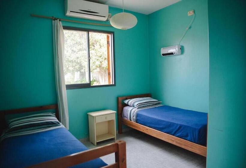 스탠다드 룸, Hostel Trotamundos