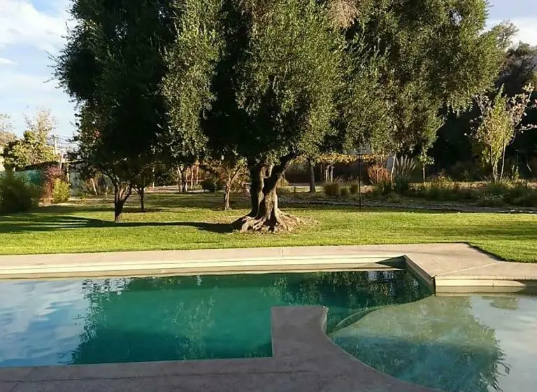 クラシックシングルルーム, Vieja Posada Hotel Histórico
