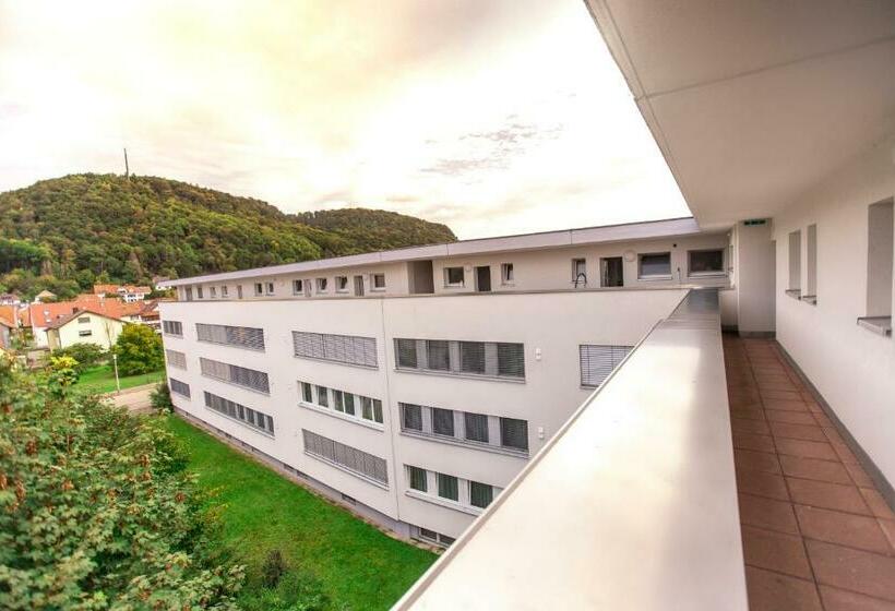 Номер Стандарт Индивидуальный, Zum Ziel Hotel Grenzach Wyhlen Bei Basel