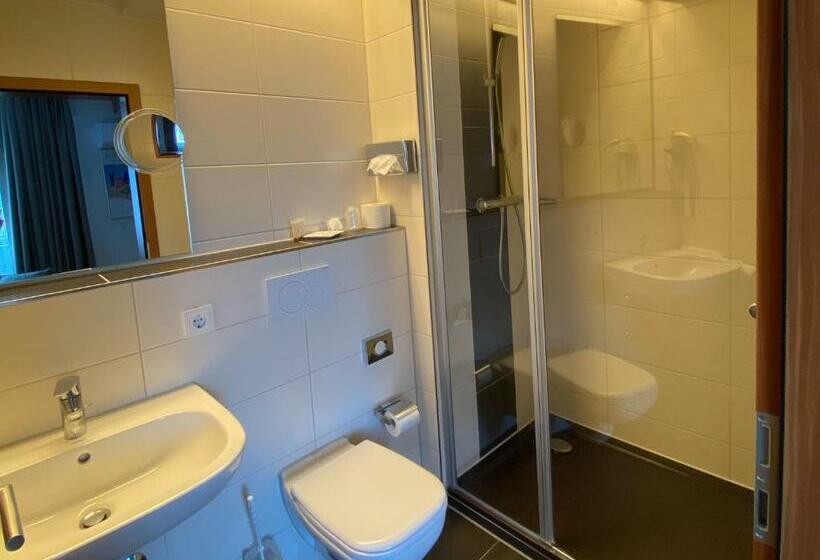 Номер Стандарт Трехместный, Zum Ziel Hotel Grenzach Wyhlen Bei Basel