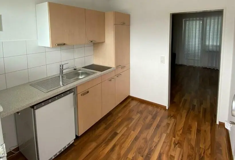 シングルデラックスルーム, Zum Ziel Hotel Grenzach Wyhlen Bei Basel