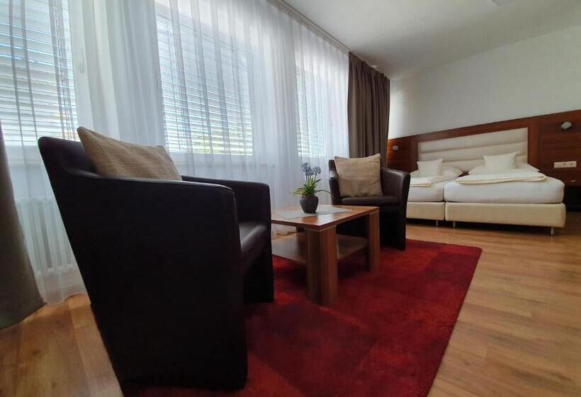 Номер Стандарт, Zum Ziel Hotel Grenzach Wyhlen Bei Basel