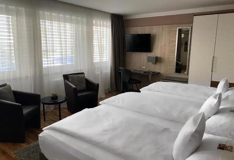 スタンダードトリプルルーム, Zum Ziel Hotel Grenzach Wyhlen Bei Basel