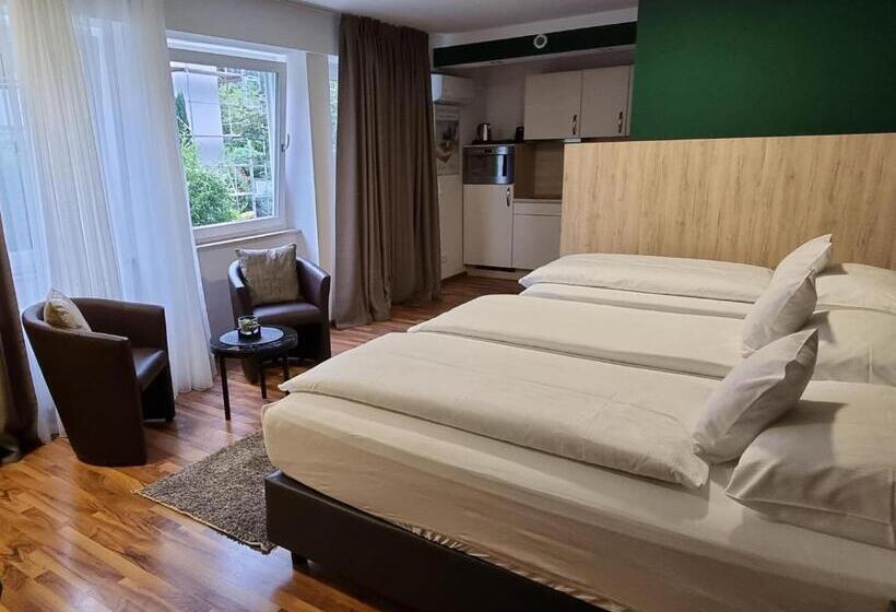 Номер Стандарт Трехместный, Zum Ziel Hotel Grenzach Wyhlen Bei Basel