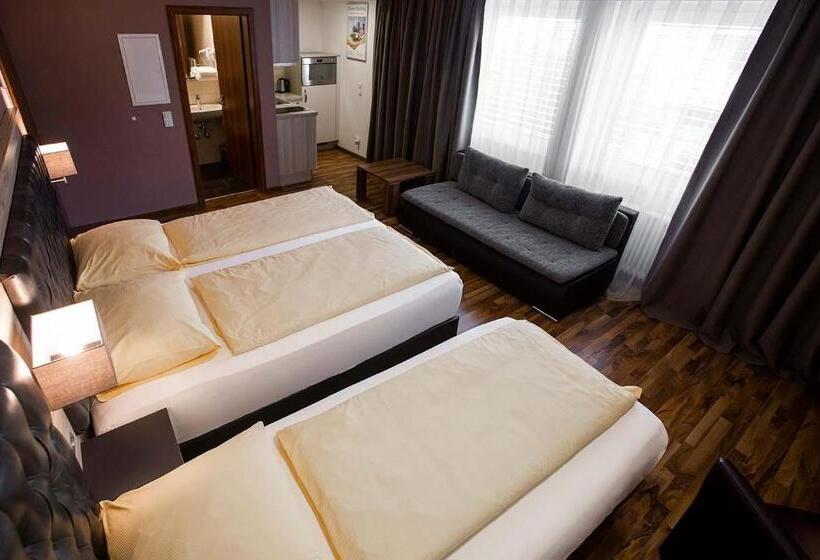 Номер Стандарт Трехместный, Zum Ziel Hotel Grenzach Wyhlen Bei Basel