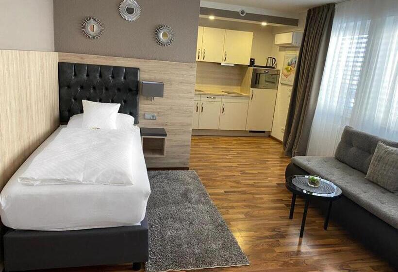 Номер Стандарт Индивидуальный, Zum Ziel Hotel Grenzach Wyhlen Bei Basel