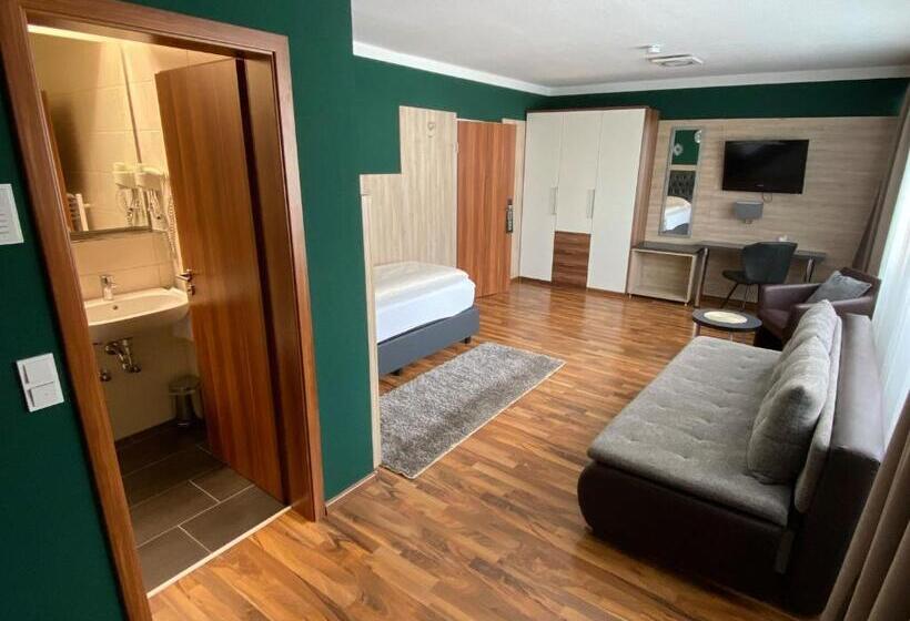 Номер Стандарт Индивидуальный, Zum Ziel Hotel Grenzach Wyhlen Bei Basel