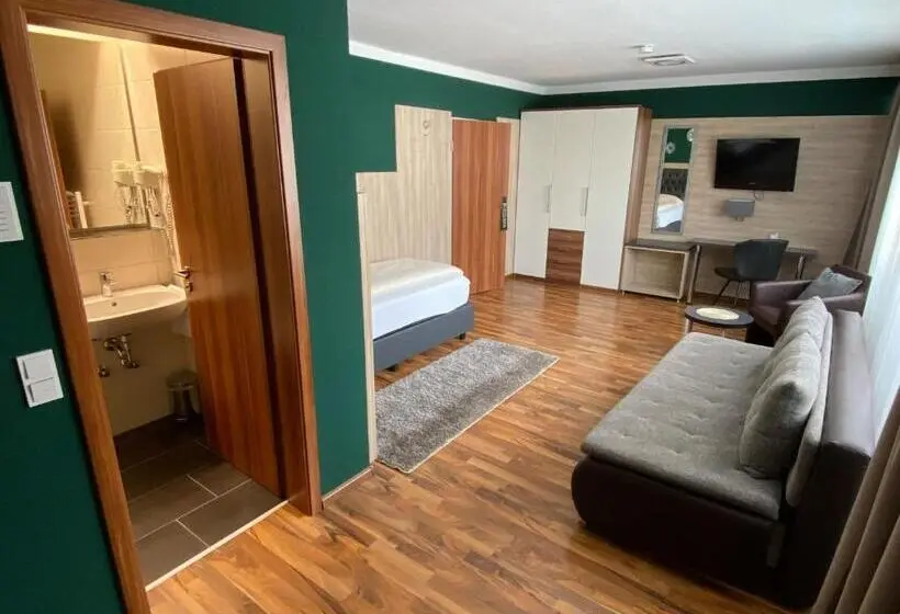 スタンダードシングルルーム, Zum Ziel Hotel Grenzach Wyhlen Bei Basel