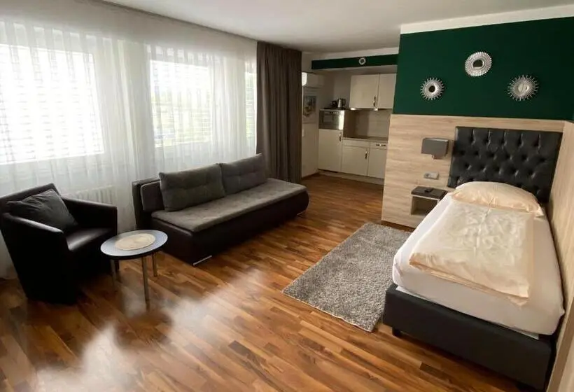 スタンダードシングルルーム, Zum Ziel Hotel Grenzach Wyhlen Bei Basel