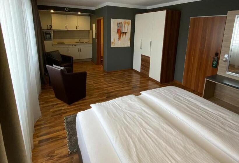 Номер Стандарт, Zum Ziel Hotel Grenzach Wyhlen Bei Basel