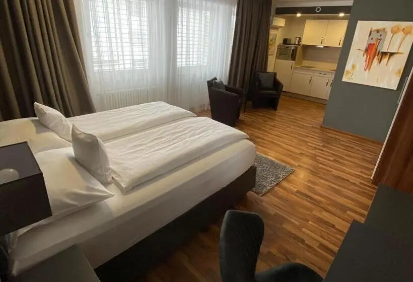 スタンダードルーム, Zum Ziel Hotel Grenzach Wyhlen Bei Basel