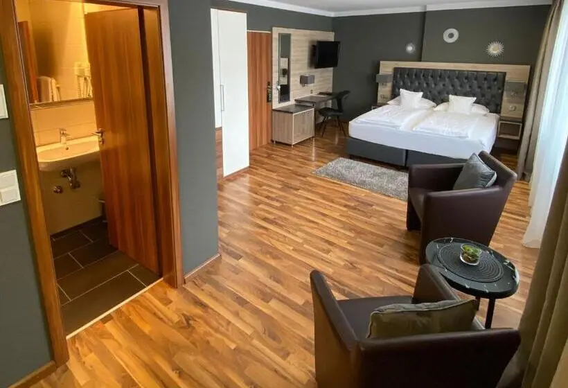 スタンダードルーム, Zum Ziel Hotel Grenzach Wyhlen Bei Basel