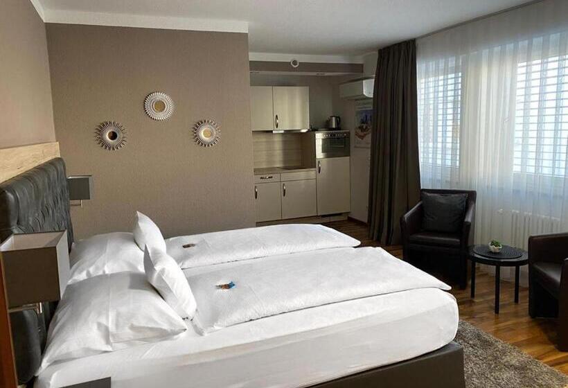 Номер Стандарт, Zum Ziel Hotel Grenzach Wyhlen Bei Basel