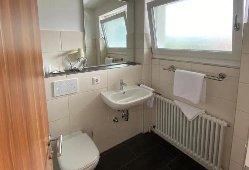 シングルデラックスルーム, Zum Ziel Hotel Grenzach Wyhlen Bei Basel