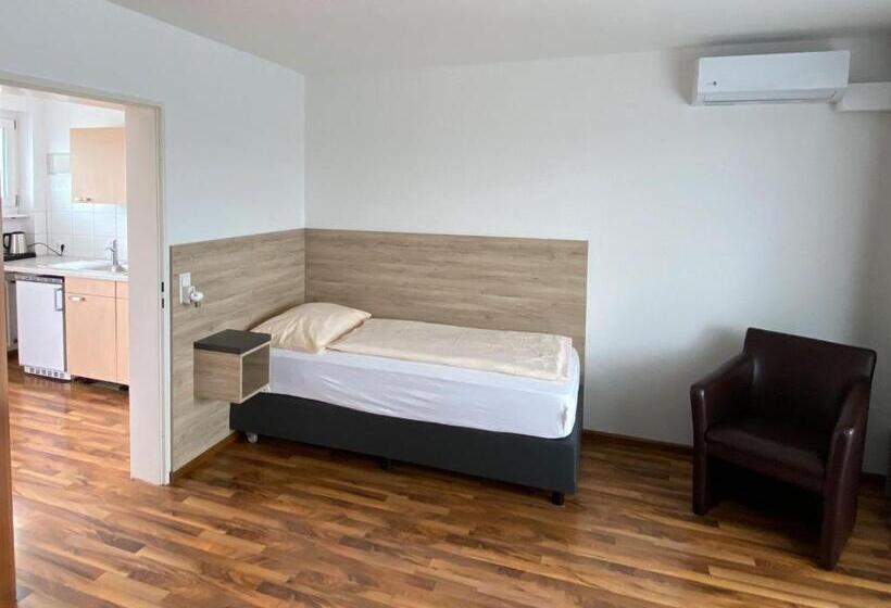 Номер Deluxe Одноместный, Zum Ziel Hotel Grenzach Wyhlen Bei Basel