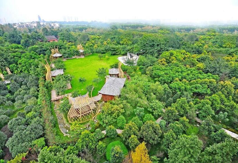 اتاق اجرایی, Chengdu Wangjiang