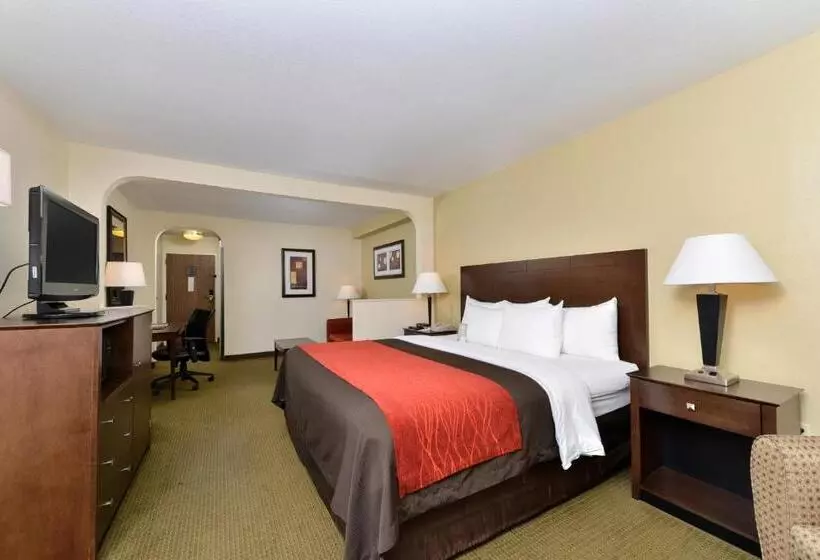 キングサイズベッドのスタンダードルーム, Comfort Inn Moss Point Pascagoula
