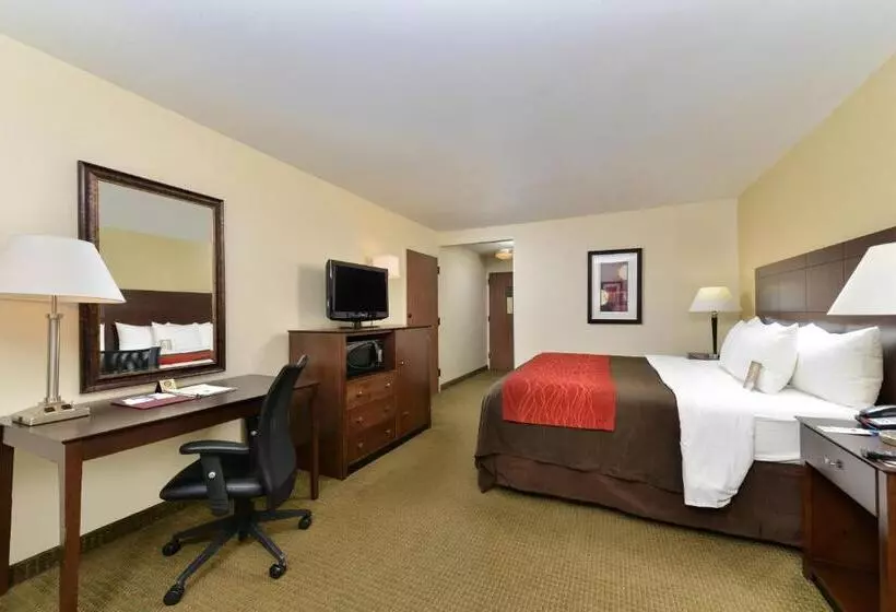 キングサイズベッドのスタンダードルーム, Comfort Inn Moss Point Pascagoula