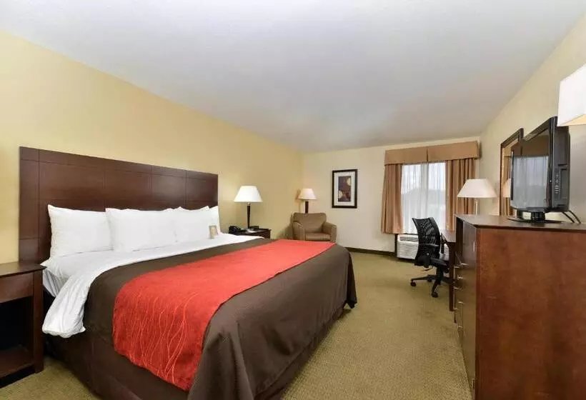 キングサイズベッドのスタンダードルーム, Comfort Inn Moss Point Pascagoula