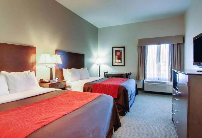スタンダードルーム, Comfort Inn Moss Point Pascagoula