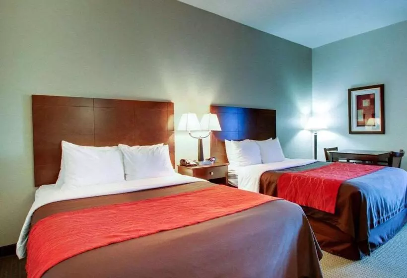 スタンダードルーム, Comfort Inn Moss Point Pascagoula