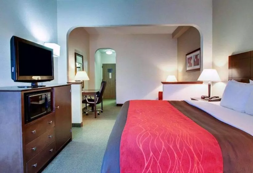 キングサイズベッドのスイートルーム, Comfort Inn Moss Point Pascagoula