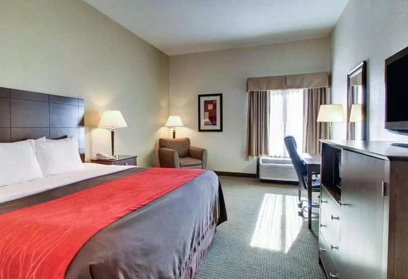 キングサイズベッドのスイートルーム, Comfort Inn Moss Point Pascagoula