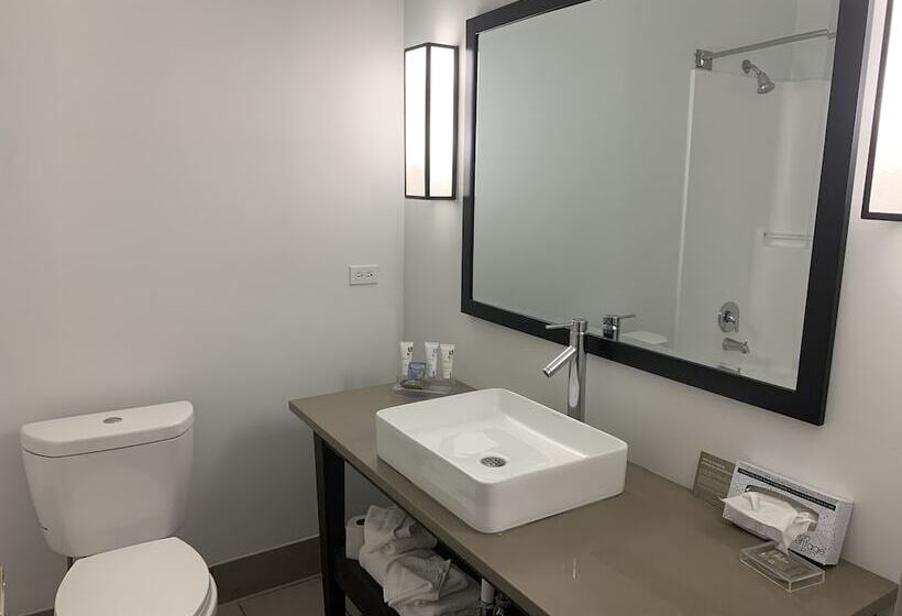 جناح, Country Inn & Suites By Radisson Chicago O Hare South Il