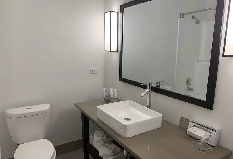 سوییت, Country Inn & Suites By Radisson Chicago O Hare South Il
