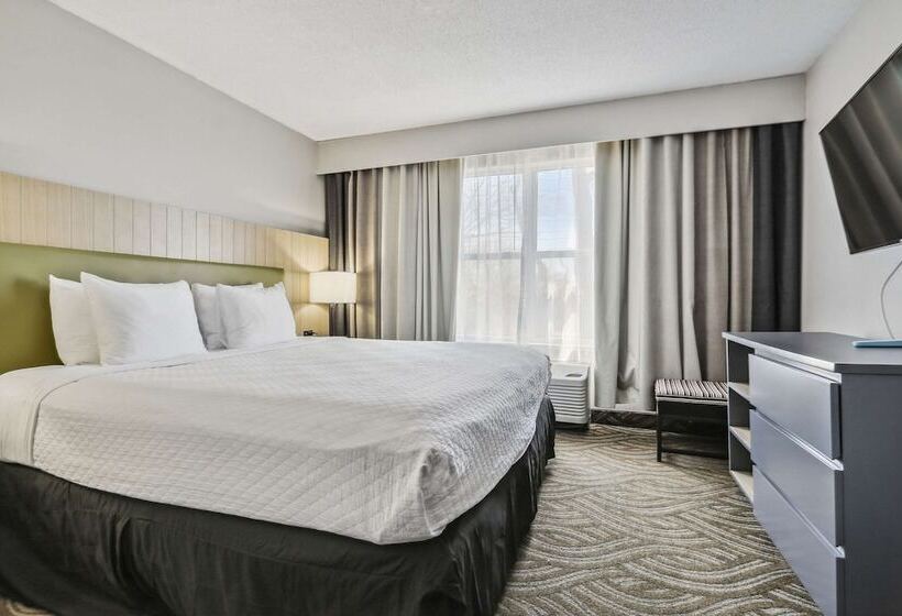 Suíte para Deficientes Físicos, Country Inn & Suites By Radisson Chicago O Hare South Il