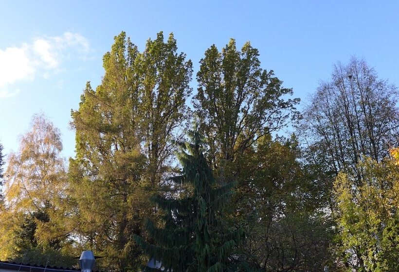 컴포트 싱글 룸, Heidpark