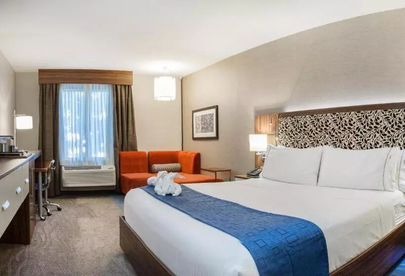 اتاق استاندارد با تخت بزرگ, Holiday Inn Express Redwood City Central, An Ihg