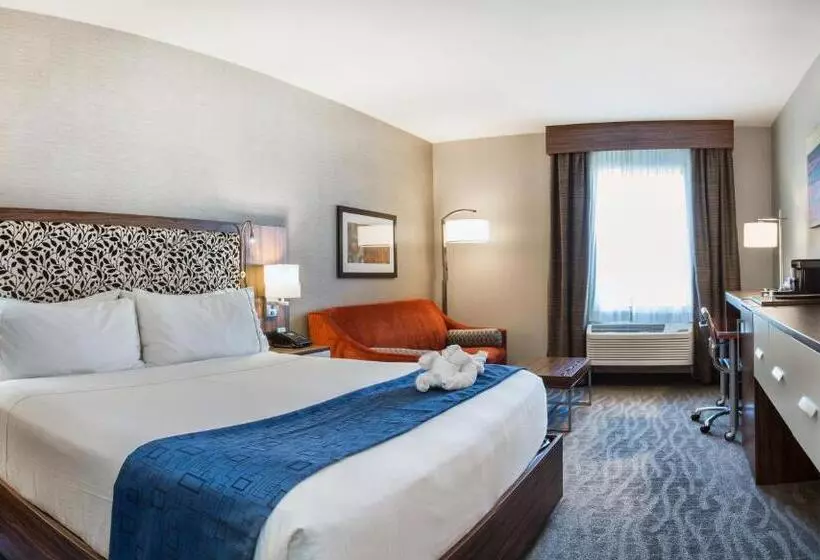 اتاق استاندارد با تخت بزرگ, Holiday Inn Express Redwood City Central, An Ihg