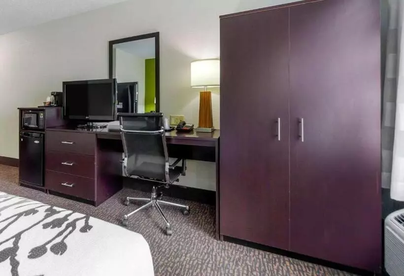اتاق استاندارد برای معلولان, Sleep Inn