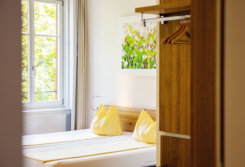 Номер Стандарт, Odelya Hotel & Naturgarten Basel City