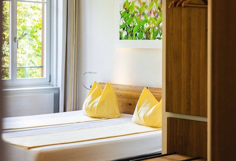 スタンダードルーム, Odelya Hotel & Naturgarten Basel City