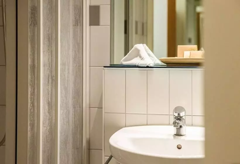 اتاق استاندارد یک نفره, Odelya Hotel & Naturgarten Basel City