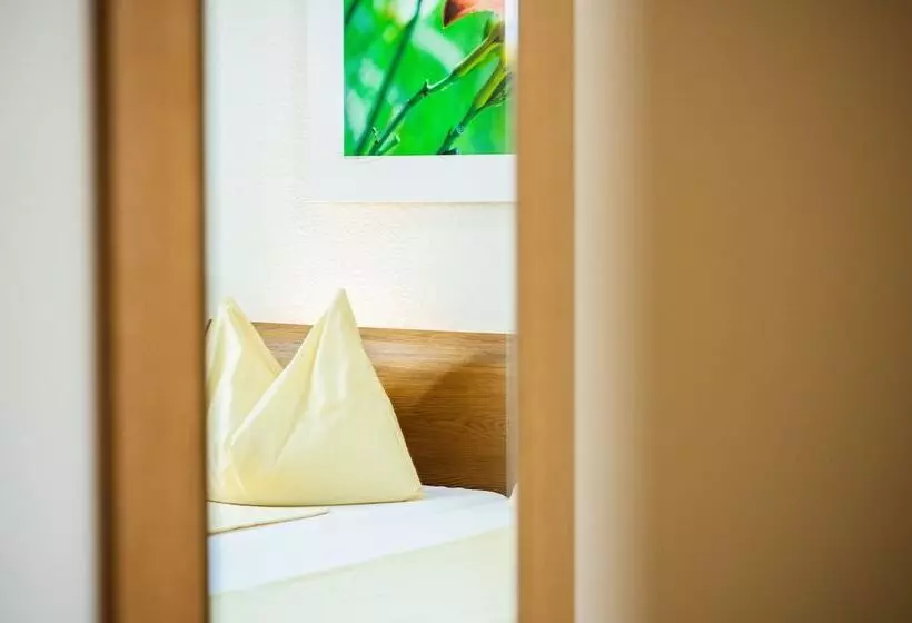 اتاق استاندارد یک نفره, Odelya Hotel & Naturgarten Basel City