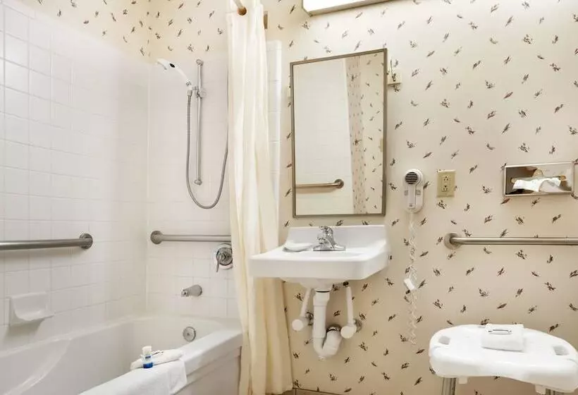 اتاق استاندارد برای معلولان, Microtel Inn & Suites By Wyndham Ann Arbor
