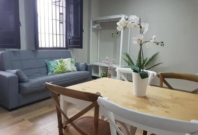 استودیوی استاندارد, Apartamentos Alhambra Granada 3000
