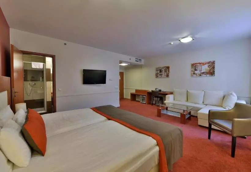 １ベッドルームのスーペリアアパートメント, City Inn