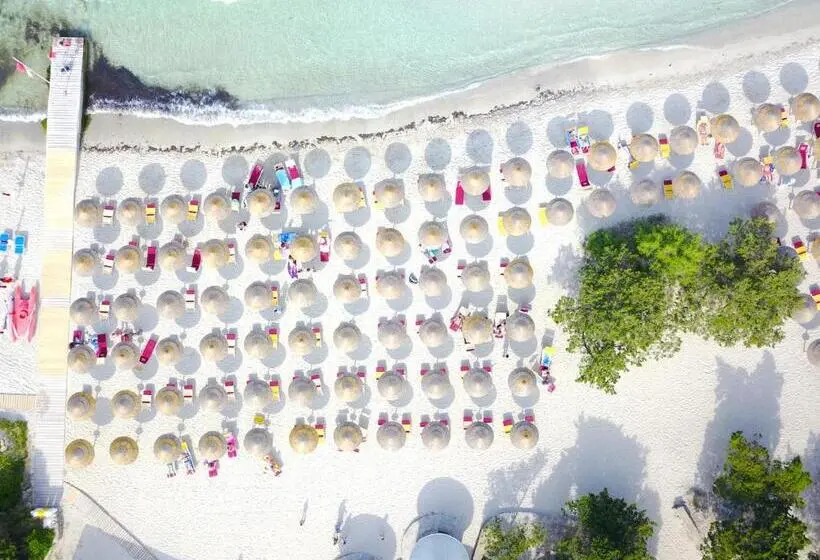 سوییت, Club Esse Roccaruja