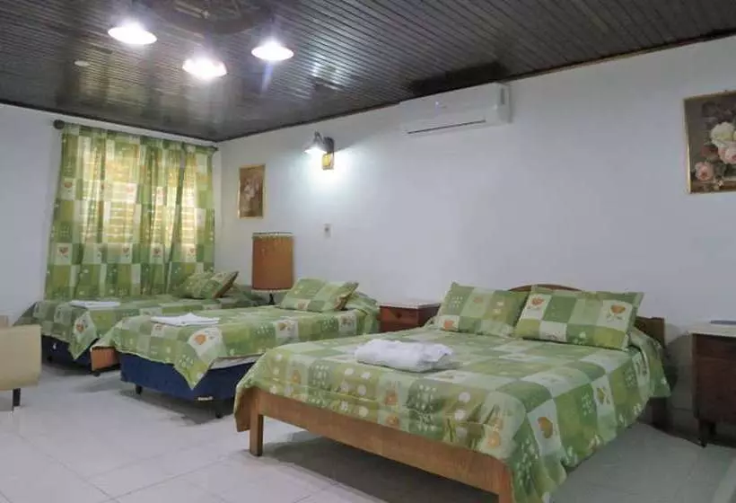 اتاق استاندارد چهار تخته, Palmas Del Sol