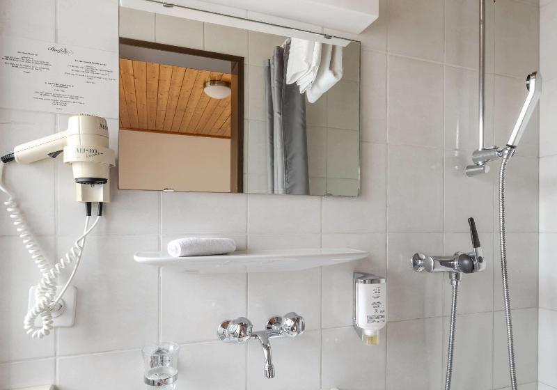 Номер Стандарт Индивидуальный, Bänklialp