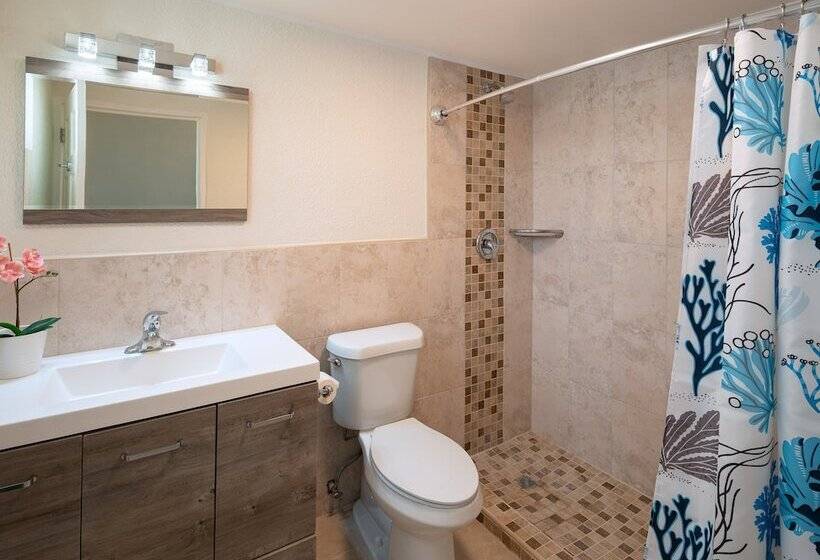 豪华房间, Time Out