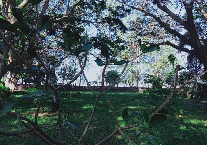 豪华洋房, Twin Bay Resort Koh Lanta