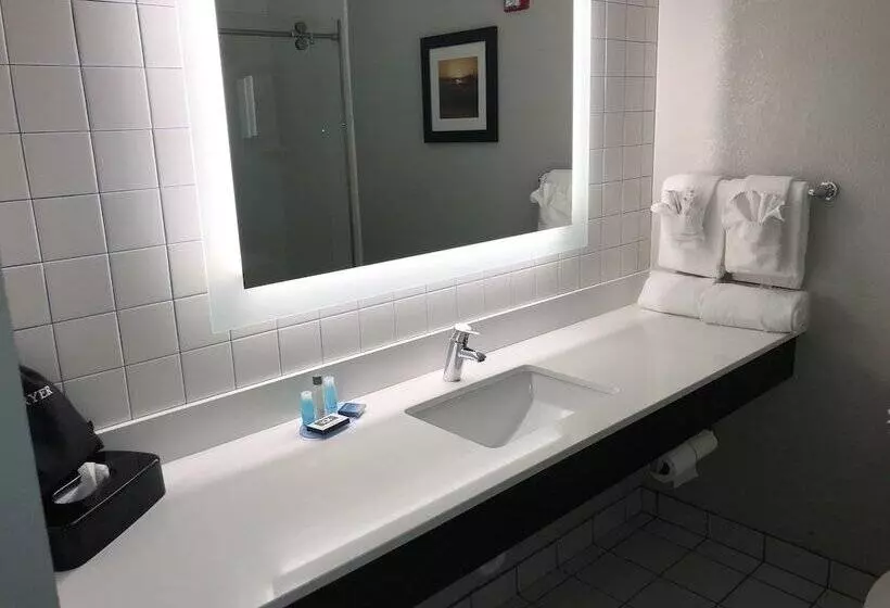 اتاق استاندارد, Best Western Erie Inn & Suites