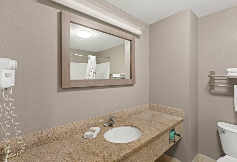 غرفة ديلوكس, Red Roof Inn & Suites Newnan