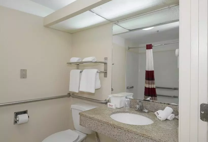身障者適用スーペリアールーム, Red Roof Inn & Suites Newnan